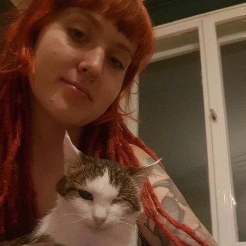 Nina - wolontariuszka, dom tymczasowy